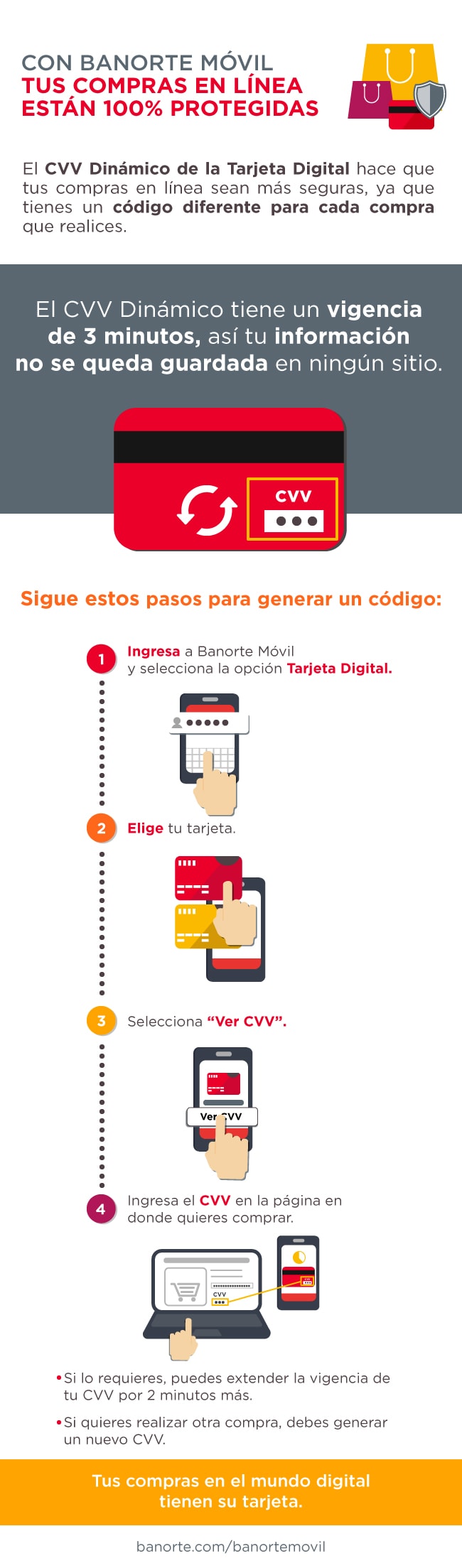Infografía CVV Dinámico