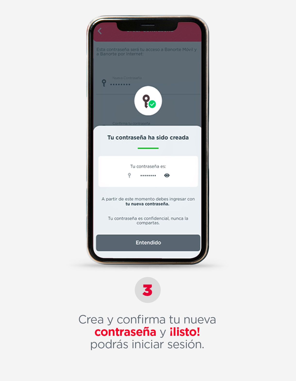 PASO-3