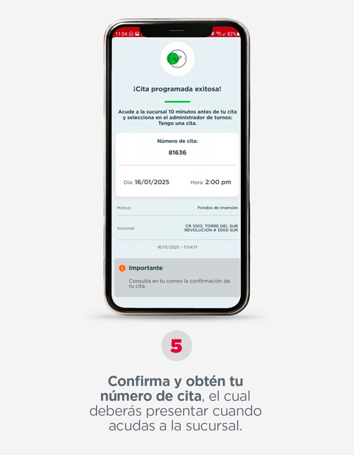 PASO-5