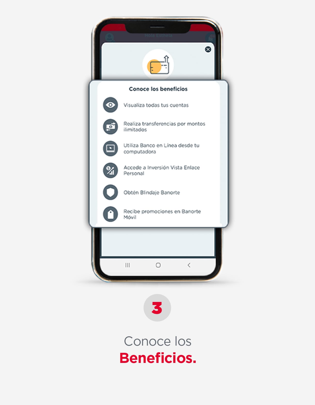 Infografia_Incode_3