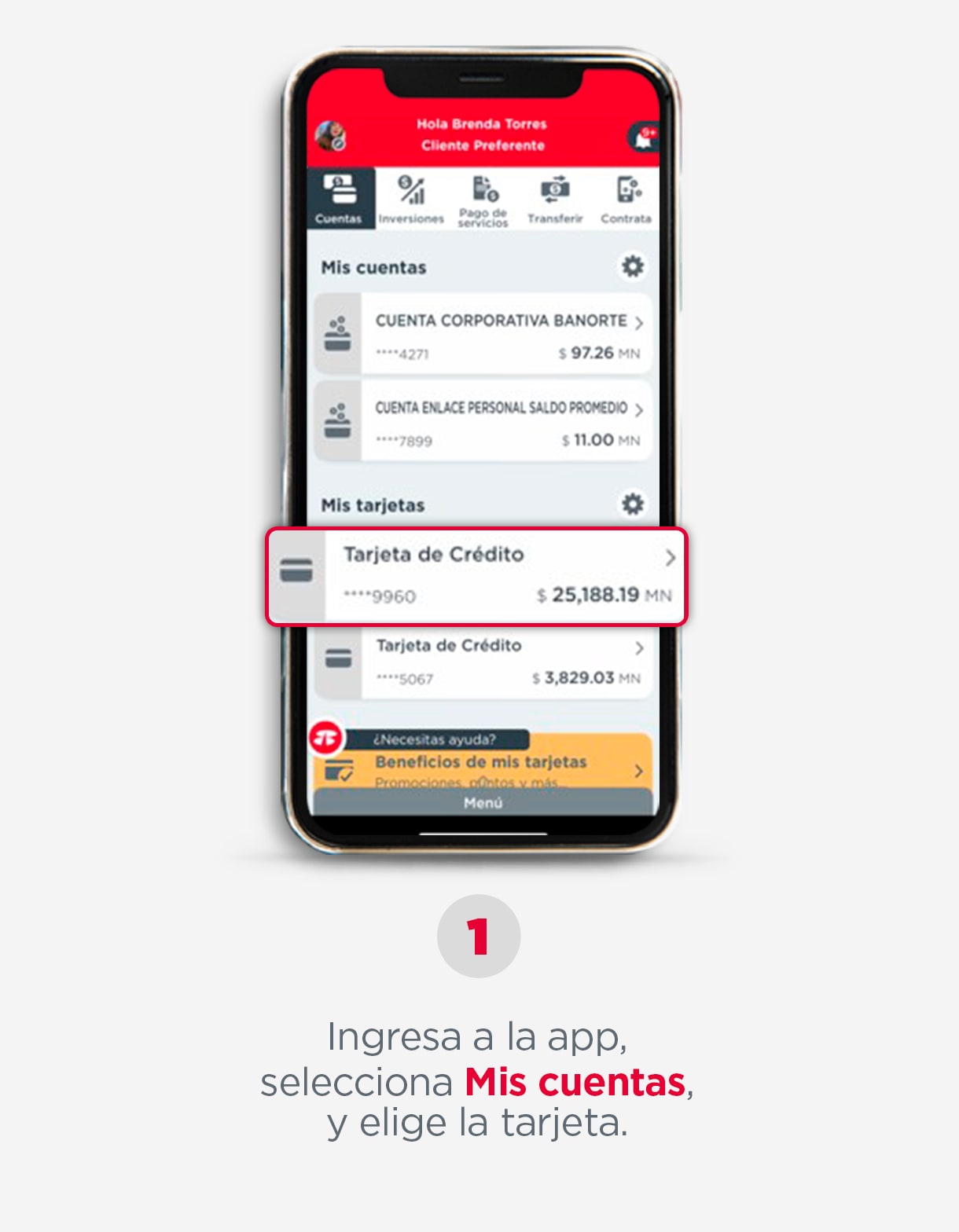 PASO-1