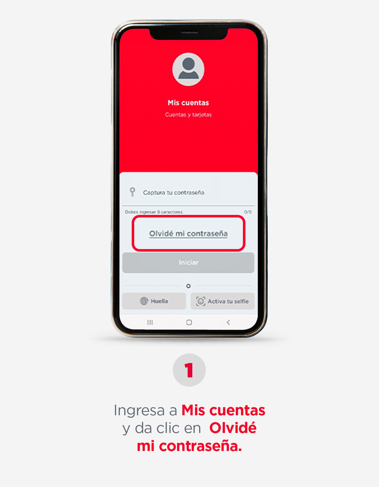 PASO-1