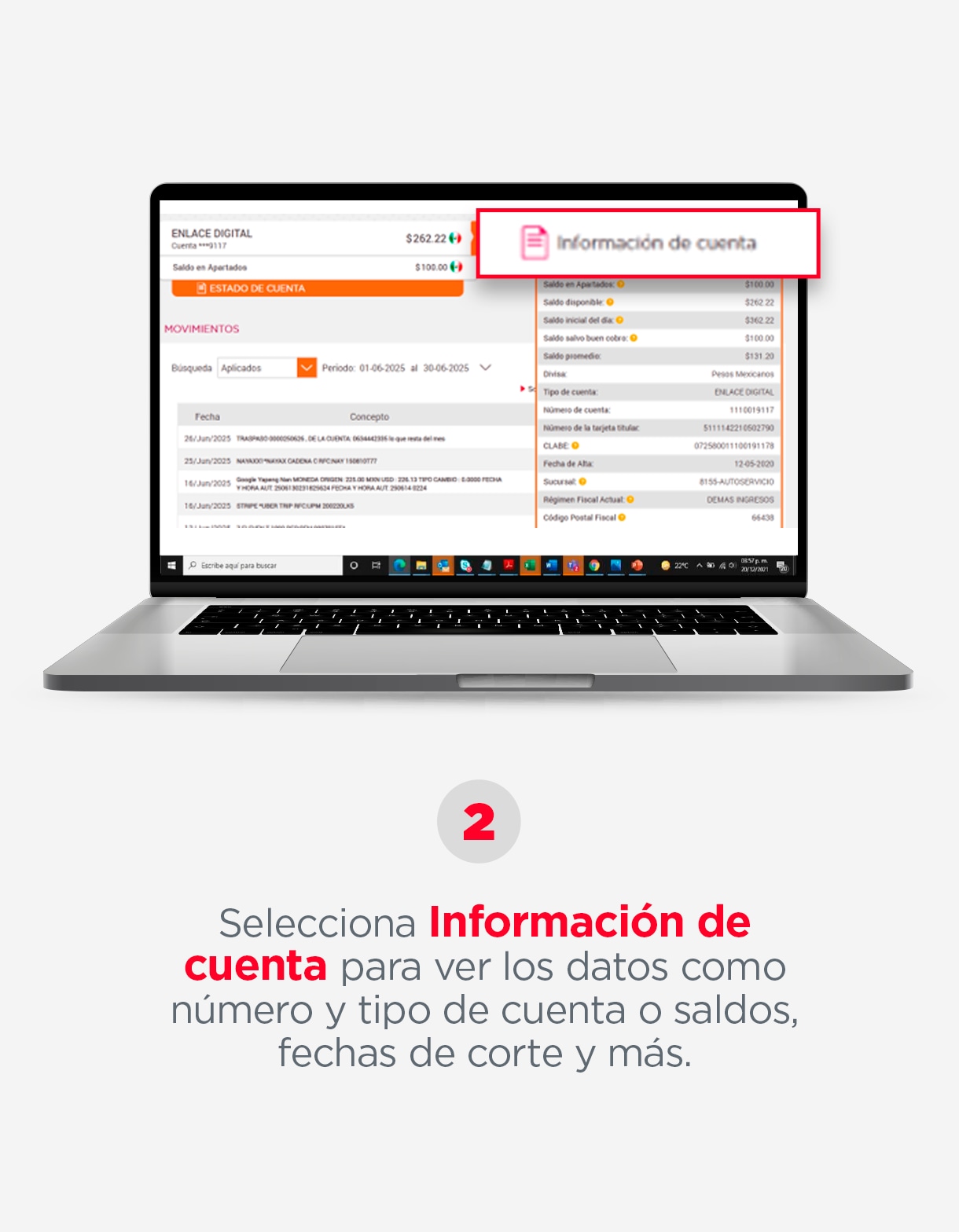CONSULTA-SALDOS-Y-MOVIMIENTOS_Paso2