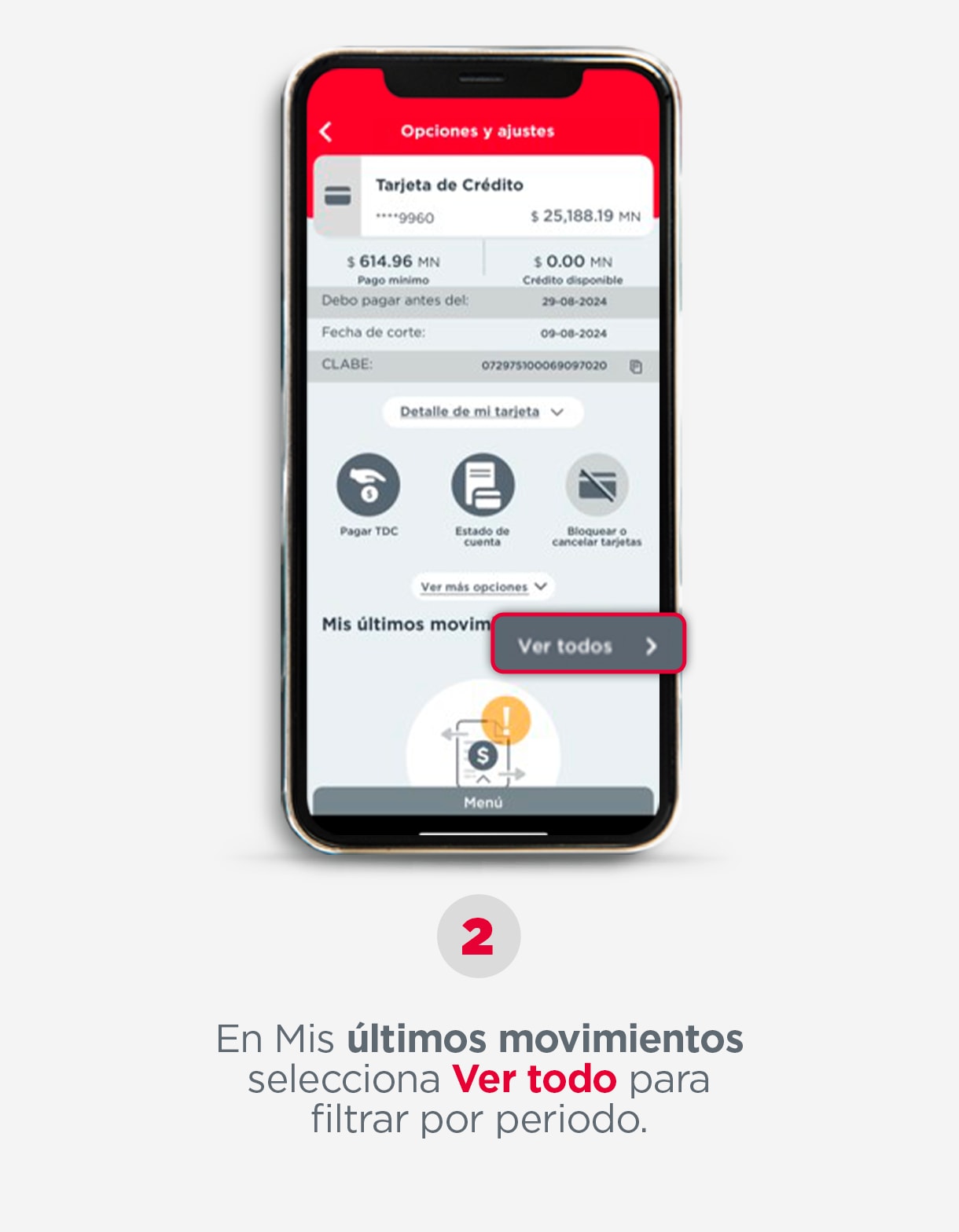 PASO-2
