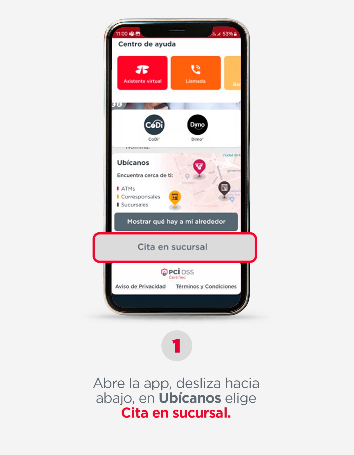 PASO-1