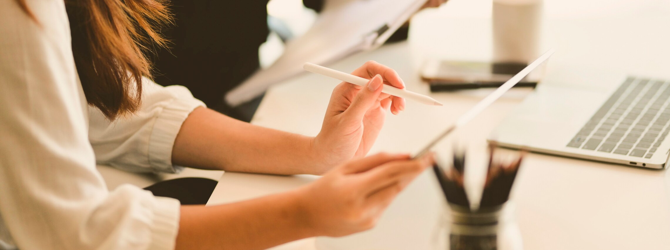 Descarga los folletos informativos