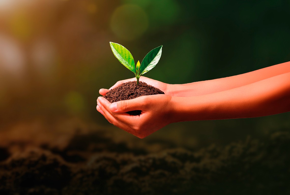 Banner Sustentabilidad Banorte