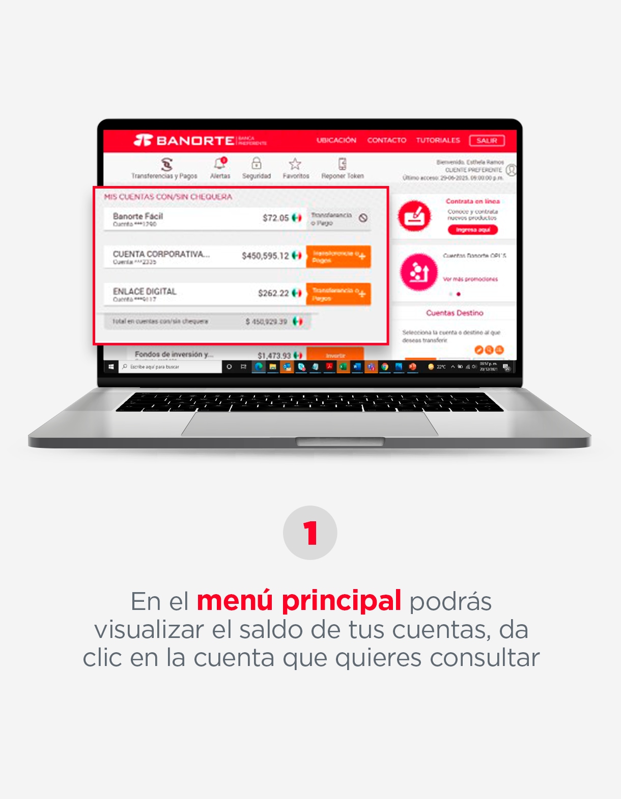 CONSULTA-SALDOS-Y-MOVIMIENTOS_Paso1