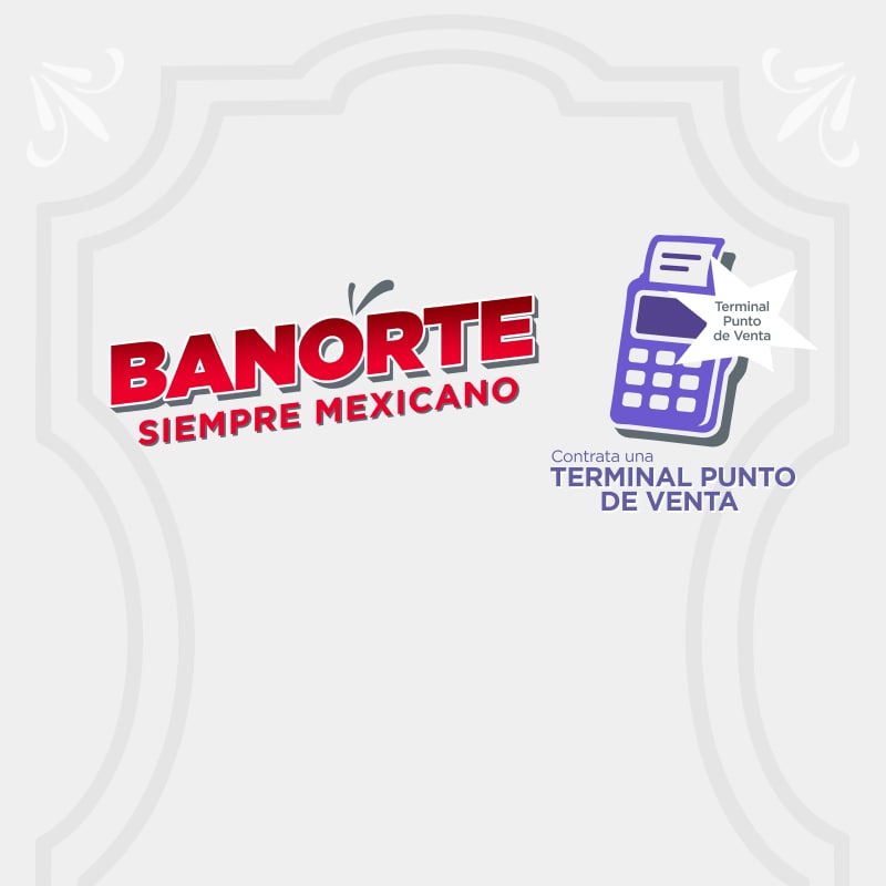 Card Mes Patrio Banorte _TPV