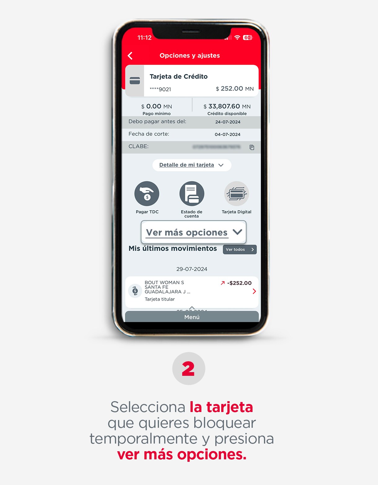 PASO-2