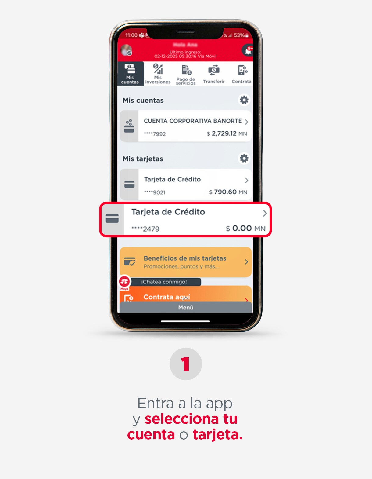PASO-1