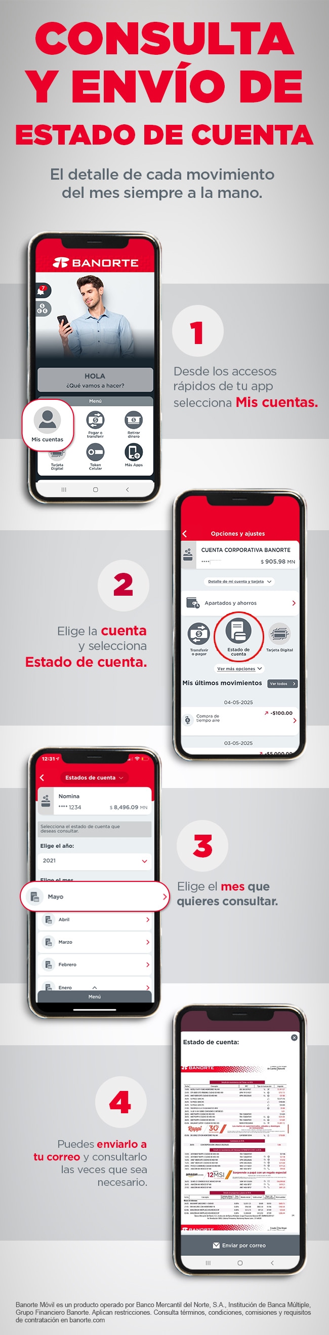 INFOGRAFIA_ConsultayEnvio