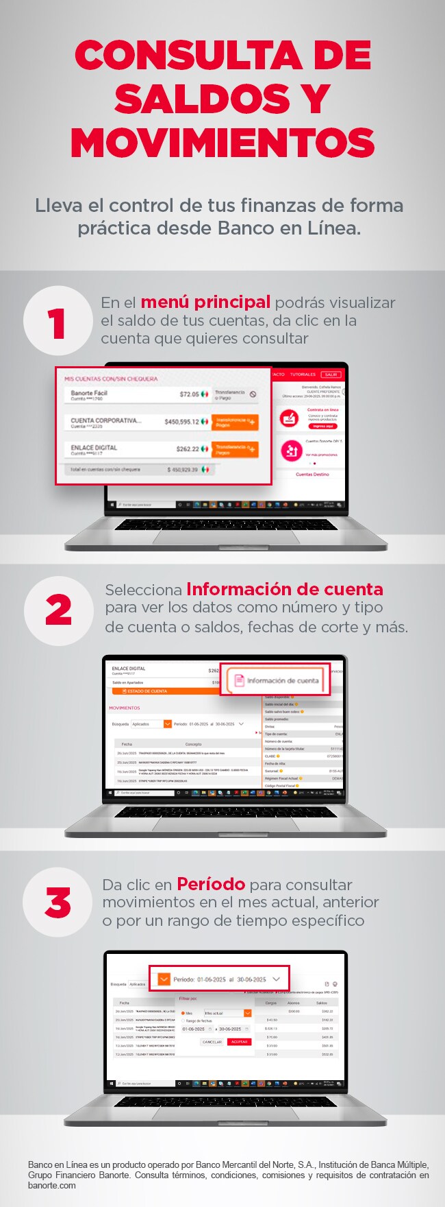 Instrucciones para consultar saldos y movimientos en Banco en Línea